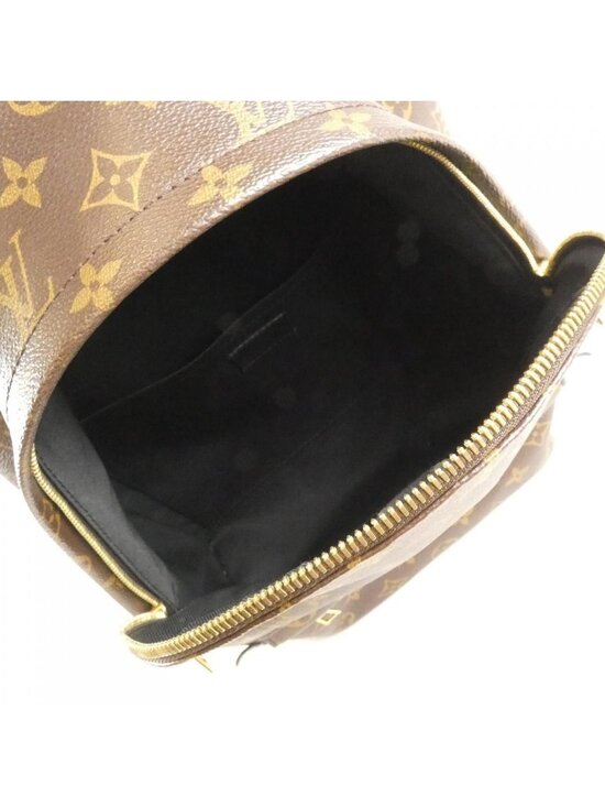 Louis Vuitton Monogram Palm Springs Backpack MM Sac main image 6